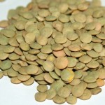 Can I give my cat lentils?