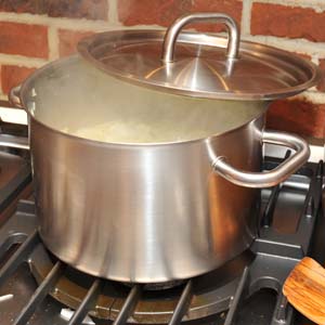 Can I give my cat boiled chicken?