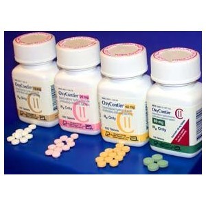 Can I give my cat Oxycodone?