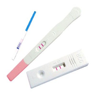 Can I give my cat a pregnancy test?